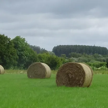 Champetre Avec Cuisine Equipee, Wifi Et Grande Cour Privee - Fr-1-510-175