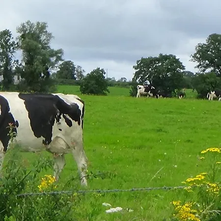 Champetre Avec Cuisine Equipee, Wifi Et Grande Cour Privee - Fr-1-510-175 Ferienhaus