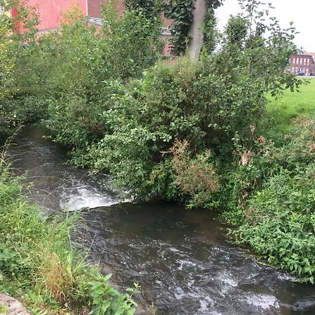 Champetre Avec Cuisine Equipee, Wifi Et Grande Cour Privee - Fr-1-510-175 Leval (Nord)